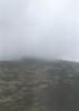 nizketatry96